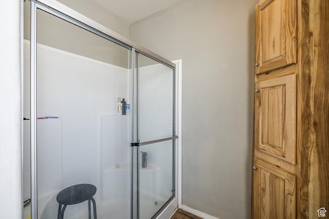 4147 S Spanish Valley Dr, Moab, UT 84532 - bathroom with a shower with door
