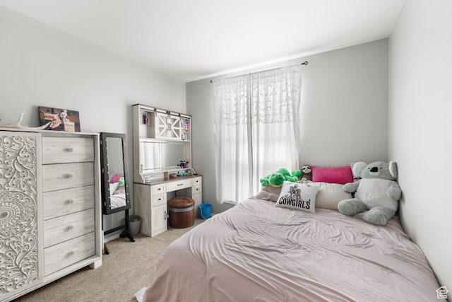 4147 S Spanish Valley Dr, Moab, UT 84532 - bedroom featuring light carpet