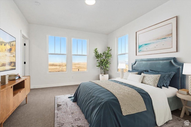 6777 W S Jordan Pkwy, South Jordan, UT 84009 - bedroom featuring baseboards and carpet