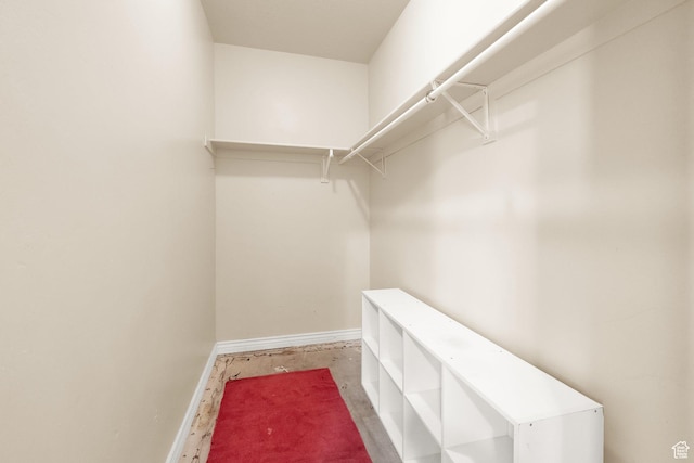 view of walk in closet