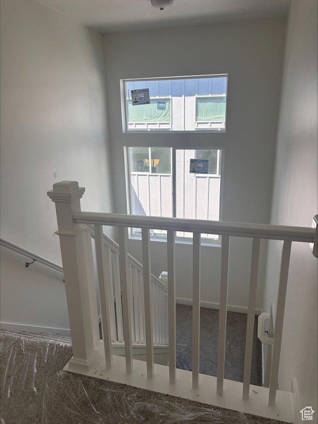 staircase with carpet floors