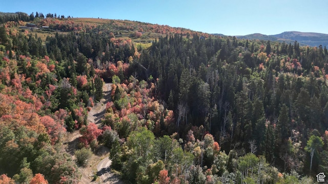 22706 N 13237 E Unit 125, Fairview, UT 84629