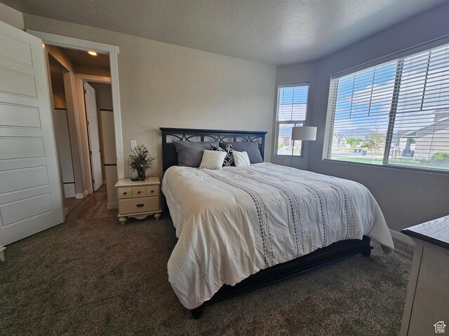 1013 W 90 S, Spanish Fork, UT 84660 - carpeted bedroom with a textured ceiling