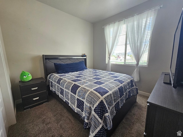 1013 W 90 S, Spanish Fork, UT 84660 - view of carpeted bedroom