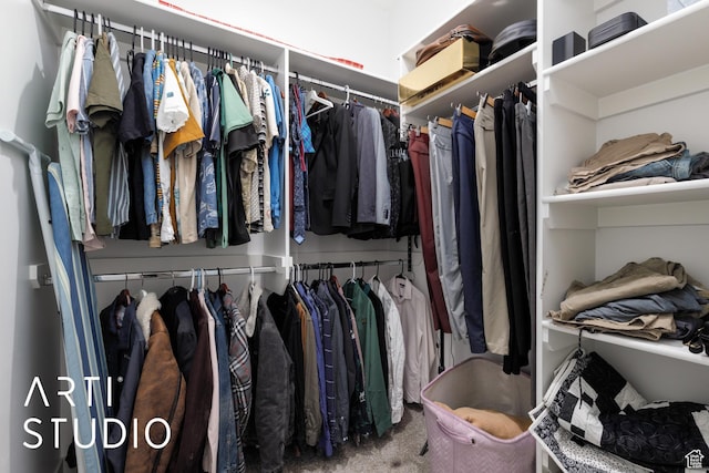 442 E Depot St Unit 107, Clearfield, UT 84015 - spacious closet with carpet flooring