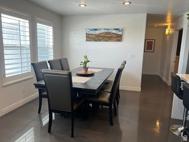 1307 E Brandy Ln S, Tooele, UT 84074 - dining area with baseboards, dark tile patterned floors, and plenty of natural light