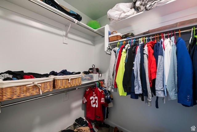 view of spacious closet