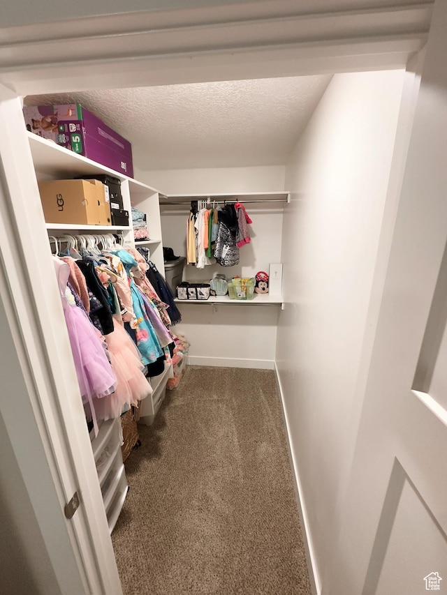 2743 W Lacewood Dr S, Taylorsville, UT 84129 - spacious closet with carpet flooring