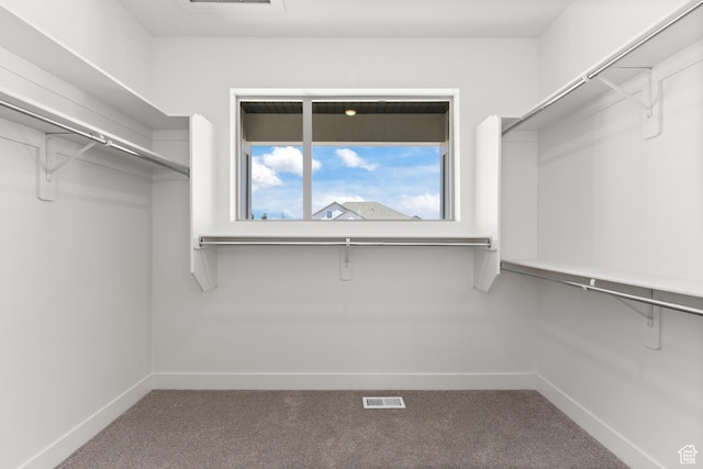1107 S 4475 W, West Point, UT 84015 - spacious closet featuring carpet floors