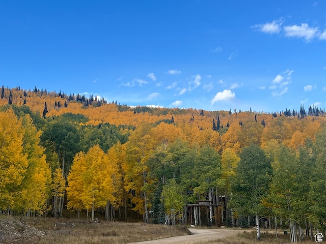 4460 Fawn Way Unit 2039, Heber City, UT 84032 - view of mountain feature with a forest view