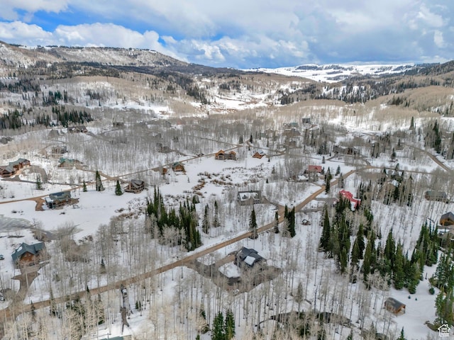 4460 Fawn Way Unit 2039, Heber City, UT 84032 - snowy aerial view featuring a mountain view