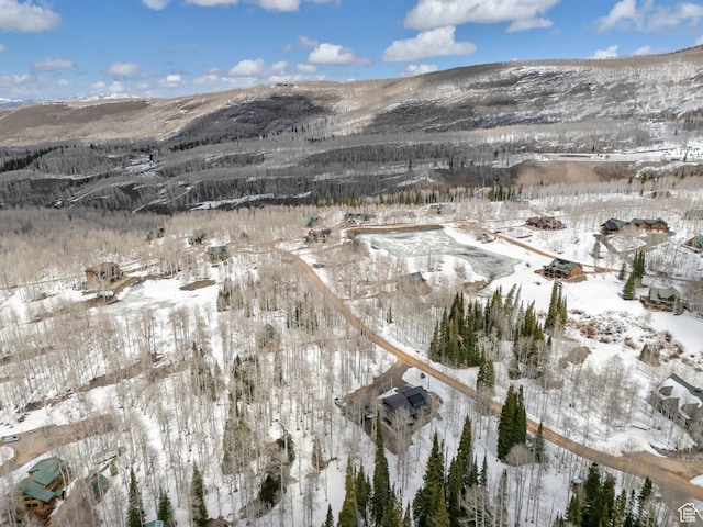 4460 Fawn Way Unit 2039, Heber City, UT 84032 - snowy aerial view with a mountain view