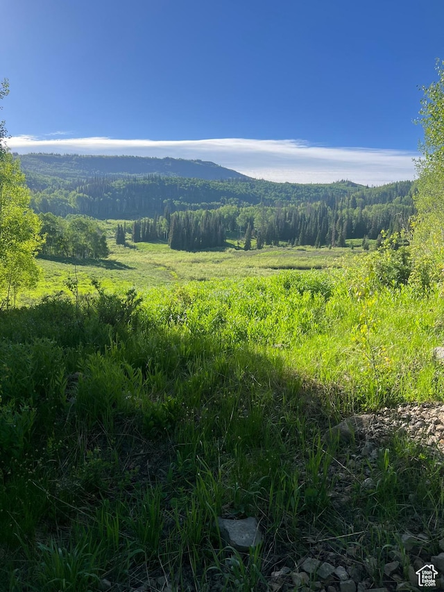 4460 Fawn Way Unit 2039, Heber City, UT 84032 - property view of mountains featuring a forest view