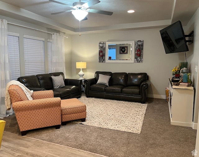 864 E 180 N, Salem, UT 84653 - living area with recessed lighting, light wood-style floors, a raised ceiling, a ceiling fan, and baseboards