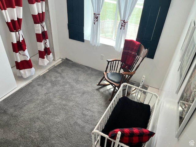 864 E 180 N, Salem, UT 84653 - living area with carpet flooring