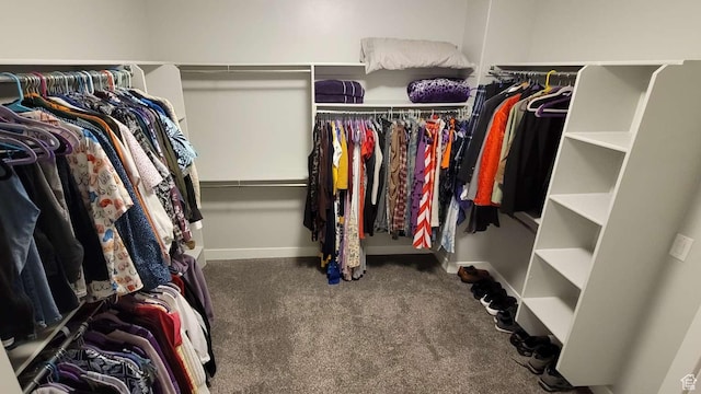 1016 N Vista Loop, Morgan, UT 84050 - spacious closet featuring carpet floors