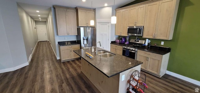 1016 N Vista Loop, Morgan, UT 84050 - kitchen with a sink, baseboards, dark wood-type flooring, stainless steel appliances, and an island with sink