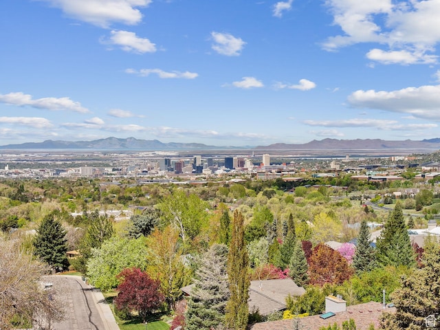 2927 E Oakhurst Dr, Salt Lake City, UT 84108 - photo 29