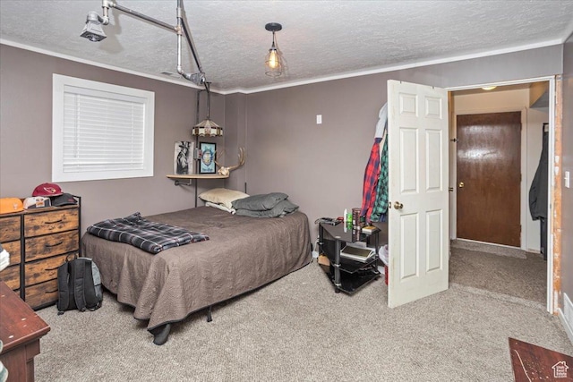 33 S Benchview Dr E, Tooele, UT 84074 - bedroom with crown molding, carpet flooring, and a textured ceiling
