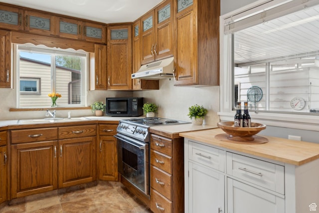 981 N 1300 W, Salt Lake City, UT 84116 - kitchen featuring black microwave, stainless steel electric range oven, a sink, butcher block counters, and under cabinet range hood