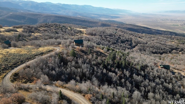22045 N 14375 E Unit 37, Fairview, UT 84629