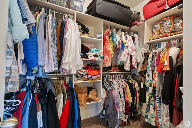 430 N 3450 W, Hurricane, UT 84737 - walk in closet featuring carpet