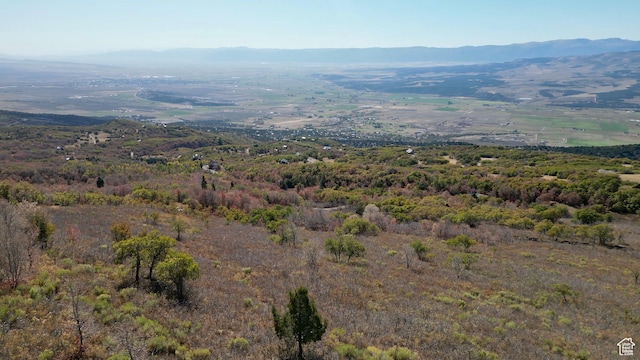 23206 N 14136 E Unit 131, Fairview, UT 84629