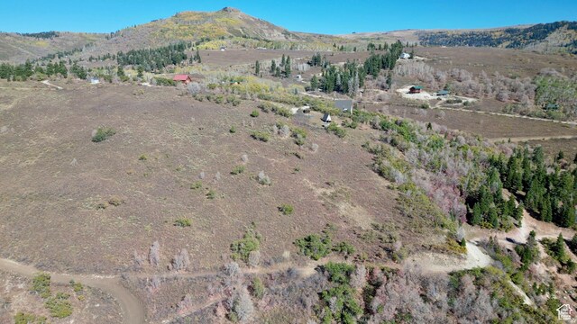 23206 N 14136 E Unit 131, Fairview, UT 84629