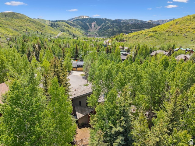 2685 Daystar Cir, Park City, UT 84060 - photo 65