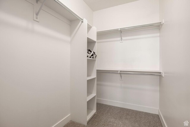 4306 Degray Dr, South Jordan, UT 84095 - walk in closet featuring carpet floors