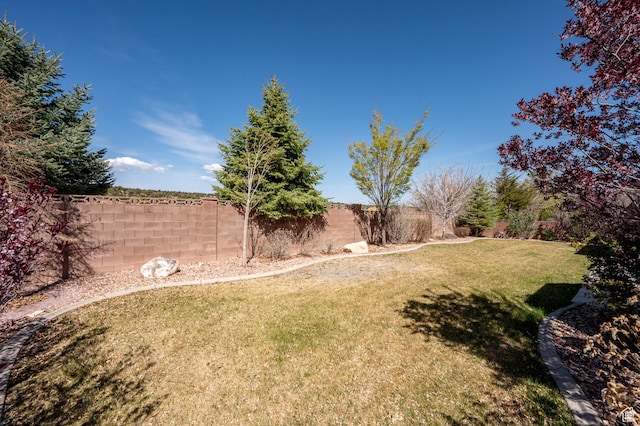 194 S 2875 W, Cedar City, UT 84720 - view of yard featuring a fenced backyard
