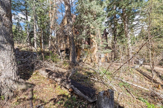 2405 Success Trl Unit 30, Midway, UT 84049 - view of local wilderness