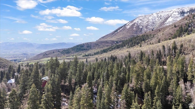 2405 Success Trl Unit 30, Midway, UT 84049 - view of mountain feature featuring a forest view