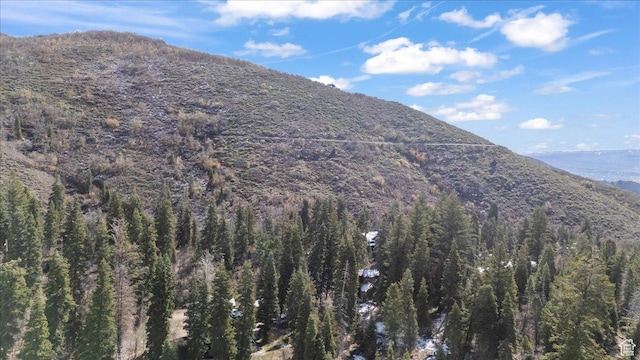 2405 Success Trl Unit 30, Midway, UT 84049 - mountain view with a forest view