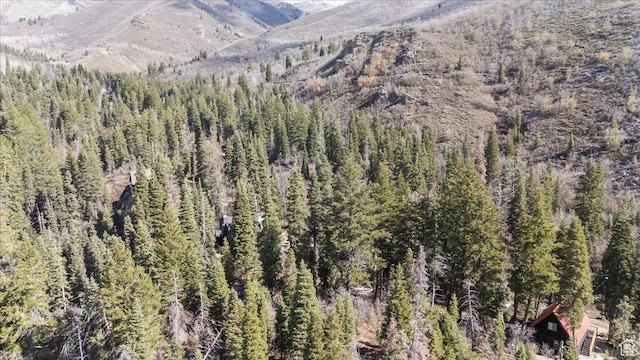 2405 Success Trl Unit 30, Midway, UT 84049 - mountain view featuring a view of trees