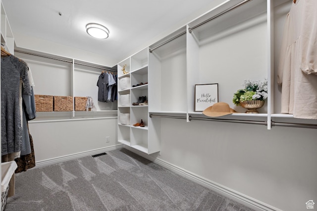 3841 E Grindstone Dr S, Springville, UT 84663 - walk in closet featuring visible vents and carpet