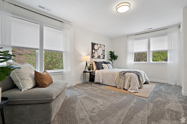 3841 E Grindstone Dr S, Springville, UT 84663 - carpeted bedroom featuring baseboards, visible vents, and multiple windows