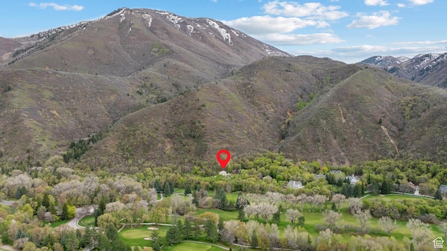 3841 E Grindstone Dr S, Springville, UT 84663 - mountain view