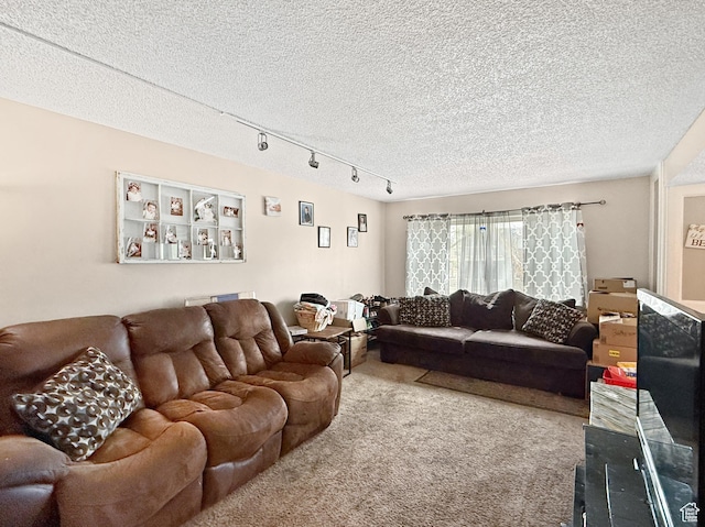 1357 S Lorl Ln # 2, Ogden, UT 84404 - carpeted living room with rail lighting and a textured ceiling