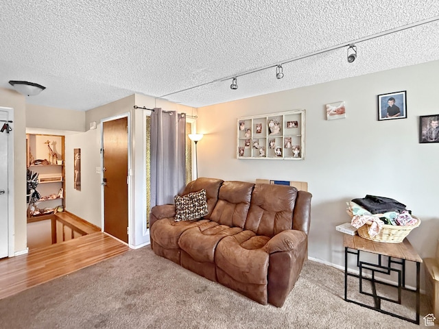 1357 S Lorl Ln # 2, Ogden, UT 84404 - living area featuring carpet floors, a textured ceiling, baseboards, and rail lighting