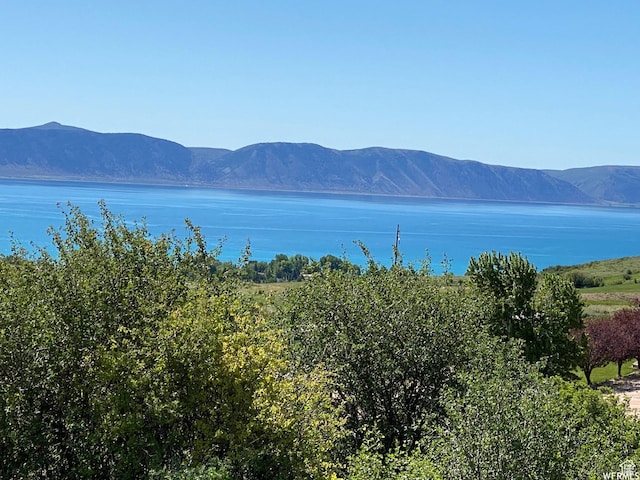 39 Arnica Cir Unit 135-36, Fish Haven, ID 83287