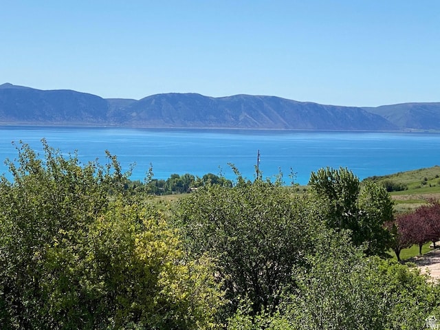 39 Arnica Cir Unit 135-36, Fish Haven, ID 83287