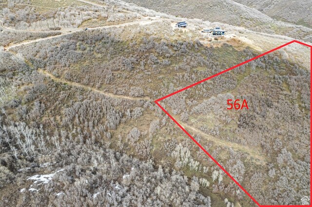 1369 Lower Cove Rd, Park City, UT 84098