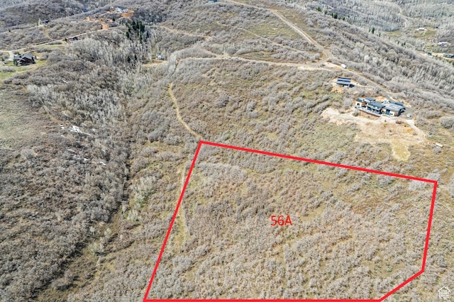 1369 Lower Cove Rd, Park City, UT 84098