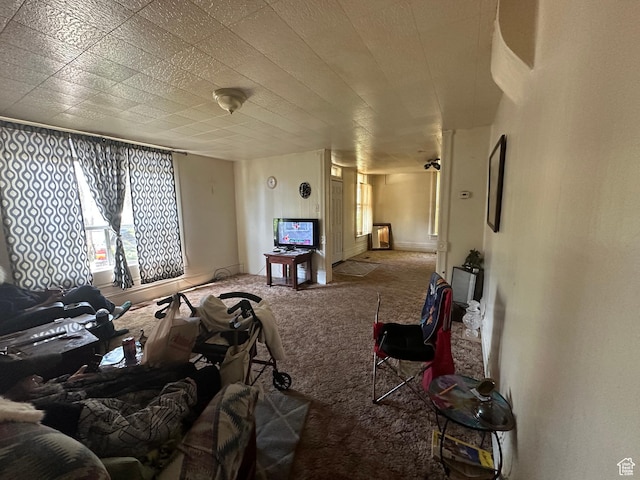 658 23rd St Unit 1, Ogden, UT 84401 - living room featuring carpet flooring