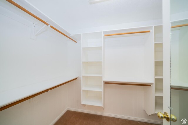 1720 N 1850 E, North Logan, UT 84341 - walk in closet featuring carpet floors