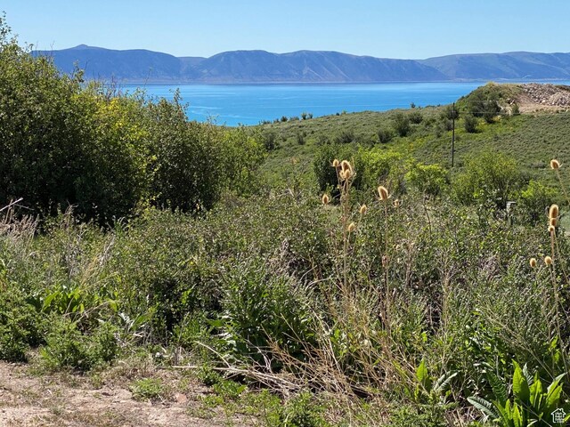 985 Bear Lake Ln Unit 321, Fish Haven, ID 83287