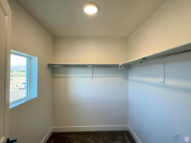 spacious closet with dark carpet