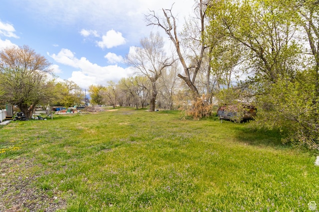 394 W 100 N, Mount Pleasant, UT 84647 - view of yard