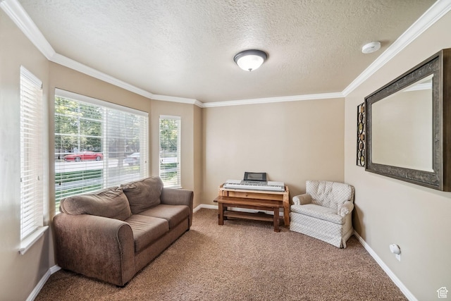 1069 N Independence Ave, Provo, UT 84604 - carpeted living room featuring ornamental molding, a textured ceiling, and baseboards